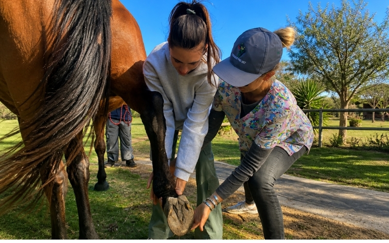 SAVE-Foundation-Pre-VET-Volunteers (1)