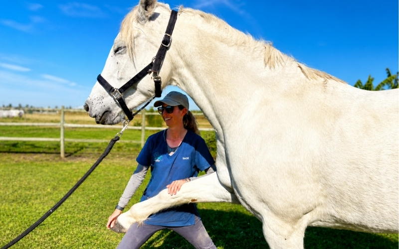 SAVE-Foundation-Pre-VET-Volunteers (2)